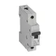 Legrand RX3 kismegszakító 1P C32 6000A BIC (Legrand 419205)