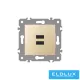 ELDGROUND 2×USB töltő ajzat type A 2.1A or 2×1.05A Arany
