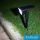 UNIVERSO Solar lámpa PIR 5V 2w 300lm 3000k IP65 fekete