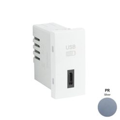 45387_SPR USB-C töltő, ezüst - 1 modul