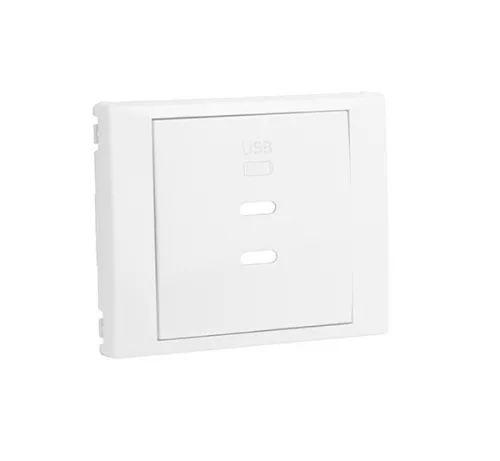 70675_TBR dupla töltő aljzat fedél (2x USB-C), fehér