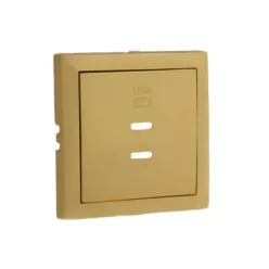 90675_TDU Fedlap dupla töltő aljzathoz (2x USB-C), arany