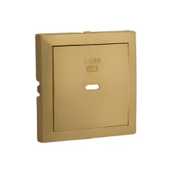 90676_TDU Fedlap USB-C töltő aljzathoz, arany