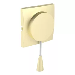   90741_TDU Fedlap zsinórműködtetésű szerelvényhez, arany