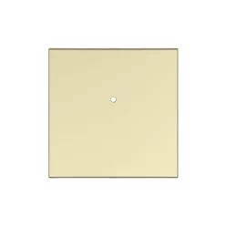 99601 TDU RFWB-20, WSB3-20 fedlap, arany színű