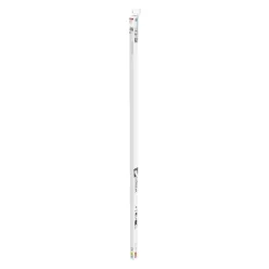 EMOS LED Fénycső T8 15 W 2 550 lm 120 cm, Hideg fehér