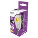 LED izzó Filament Mini Globe / E14 / 1,8 W (25 W) / 250 lm / természetes fehér
