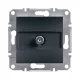 Schneider Electric ASFORA SAT aljzat, végzáró, 1 dB, antracit (EPH3700171)