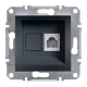 Schneider ASFORA 1xRJ11 telefon aljzat, antracit (EPH4100171)