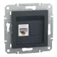 Schneider ASFORA 1xRJ45 Cat5e UTP aljzat, antracit (EPH4300171)