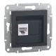 Schneider ASFORA 1xRJ45 Cat6 UTP aljzat, antracit (EPH4700171)