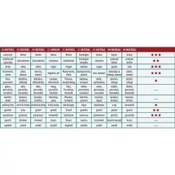   gyémántvágó BETON-ra, ipari korong, szegmenses; 300×25,4mm, száraz és vizes vágásra