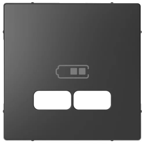 MERTEN Fedlap, USB töltőkhöz, System-D, antracit