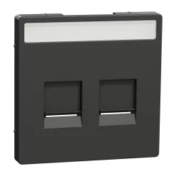   MERTEN Fedlap, 2xRJ45 moduláris betétekhez, feliratozható, System-D, antracit