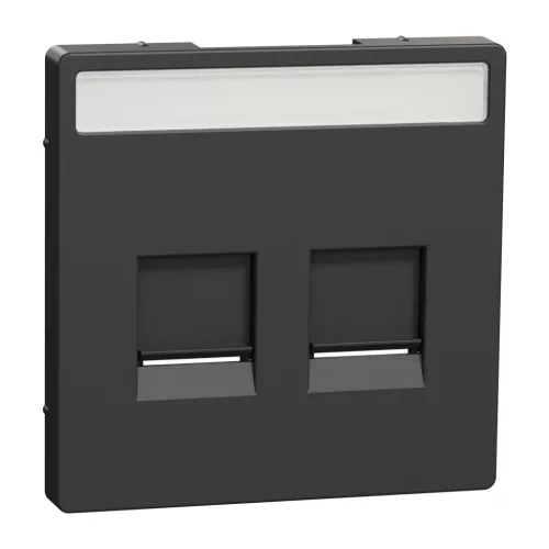 MERTEN Fedlap, 2xRJ45 moduláris betétekhez, feliratozható, System-D, antracit