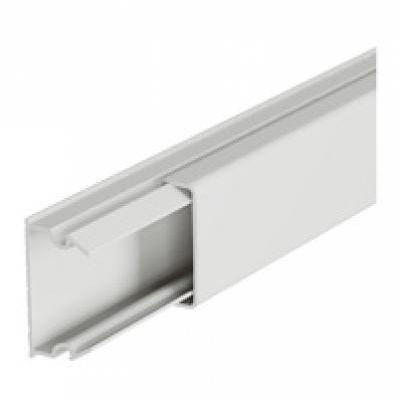 DLP CSAT.  20x 12 VÁLASZF.NÉLK.ECO