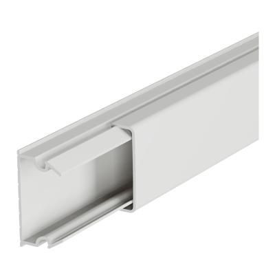 DLP CSAT.  20x 12 VÁLF.NÉLKRAG.ECO