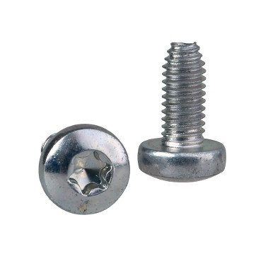 ÖNMETSZŐ TORX CSAVAR T30 (M6X12)