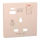 MERTEN Fedlap, USB töltős, kapcsolható multistandard csatlakozóaljzathoz, System-D, szahara