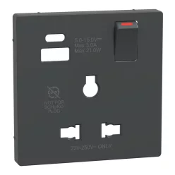   MERTEN Fedlap, USB töltős, kapcsolható multistandard csatlakozóaljzathoz, System-D, antracit