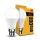 KODAK Max LED Izzó Globe A60 9W B22 270° 4000K (806 lumen)