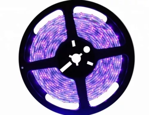 LEDmaster Prémium 60 LED/méteres 12 V-os kültéri lila LED szalag 5m/ tekercs