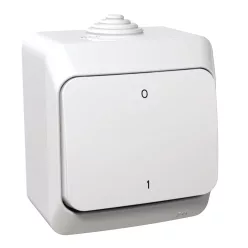 CEDAR PLUS Kétpólusú kapcsoló, IP44, fehér (102)