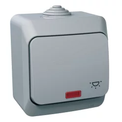   CEDAR PLUS Egypólusú nyomó lámpajellel, jelzőfénnyel, IP44, szürke