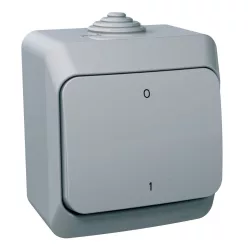 CEDAR PLUS Kétpólusú kapcsoló, IP44, szürke (102)