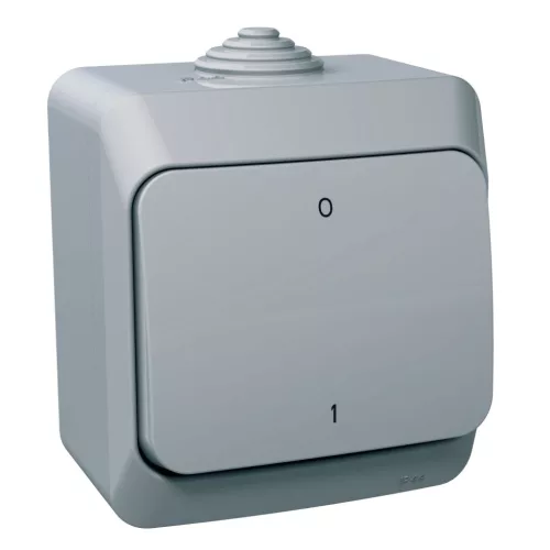 CEDAR PLUS Kétpólusú kapcsoló, IP44, szürke (102)