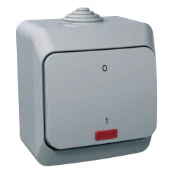   CEDAR PLUS Kétpólusú kapcsoló, jelzőfénnyel, IP44, szürke