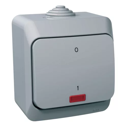 CEDAR PLUS Kétpólusú kapcsoló, jelzőfénnyel, IP44, szürke